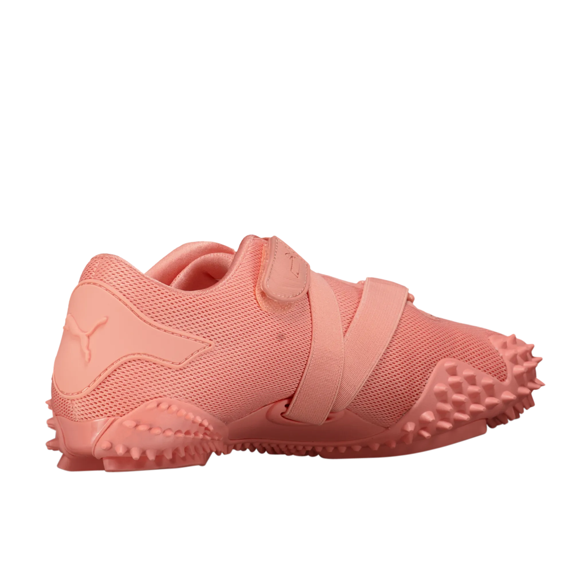 Mostro Ecstasy 'Pink Fruit'