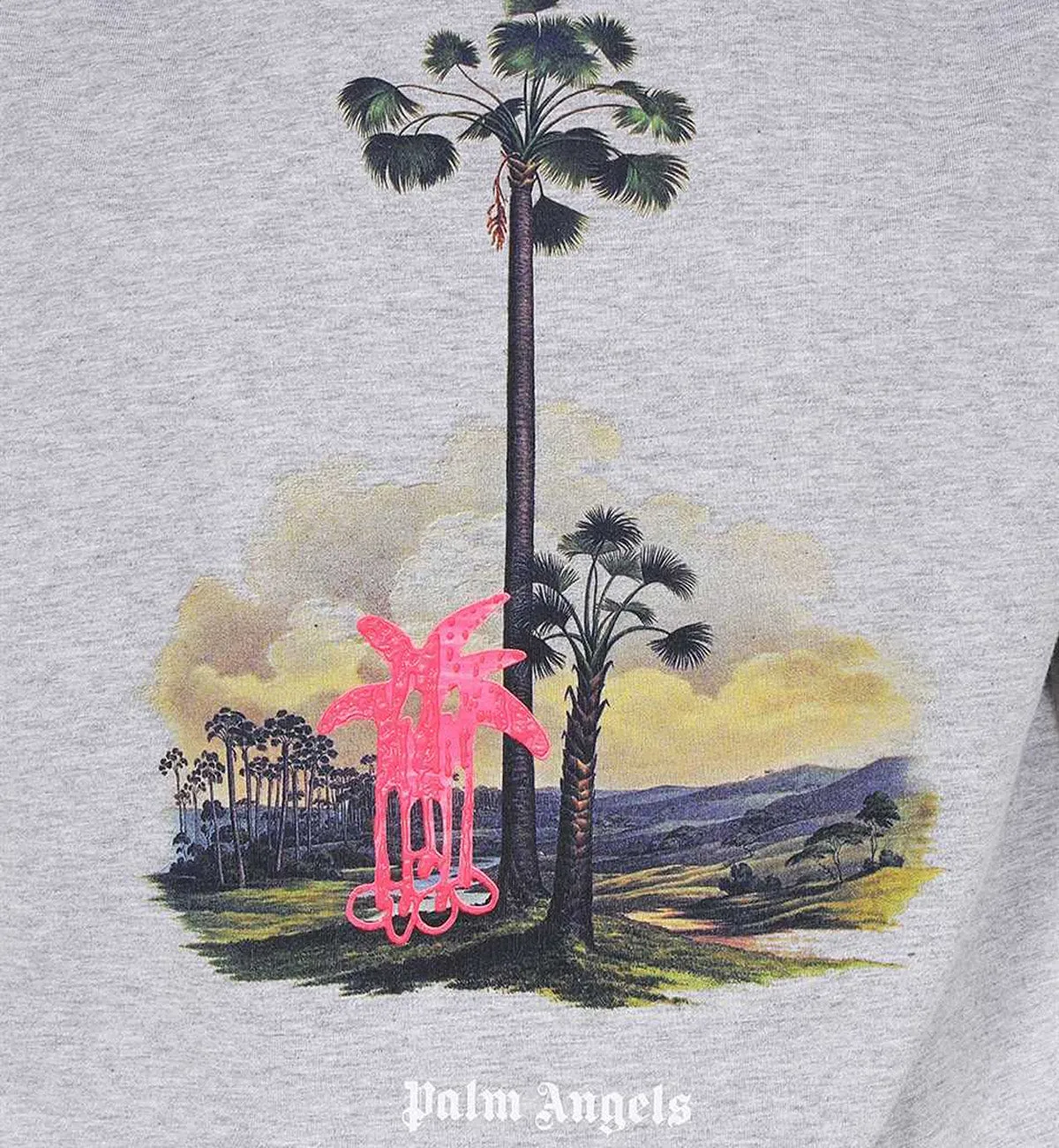 Palm Angels Grey 2023 Crew-Neck T-Shirt
