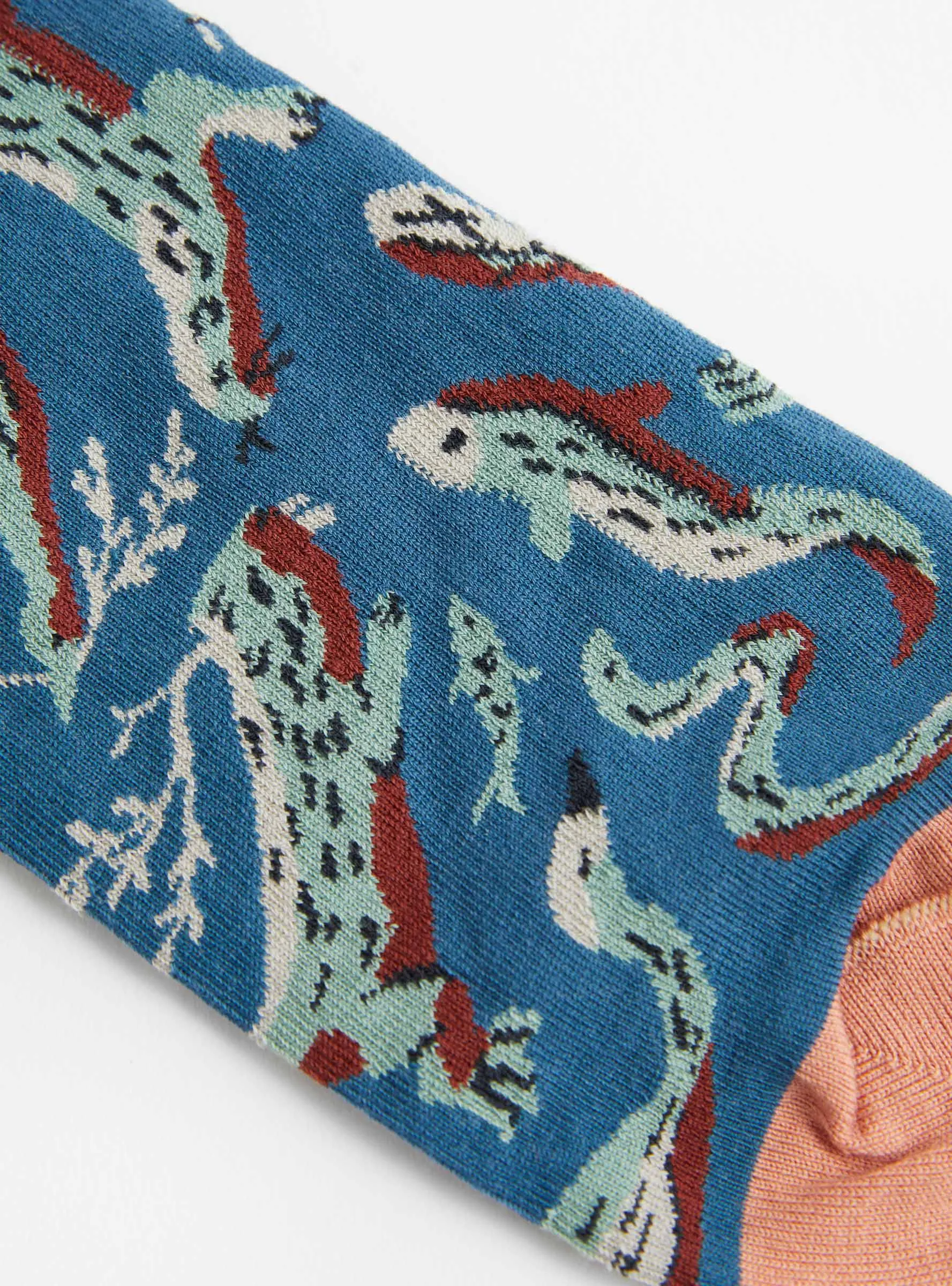 The River Socks Animals Abyss